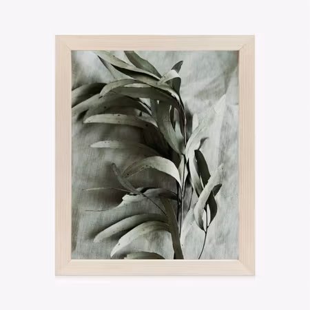 Poster med ram - Green twig with dry eucalyptus