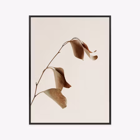 Poster med ram - Beige dry eucalyptus
