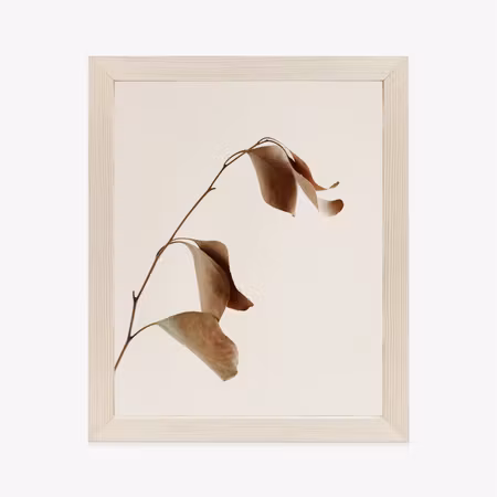 Poster med ram - Beige dry eucalyptus