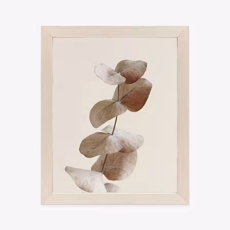 Poster med ram - Twig with dry eucalyptus leaves