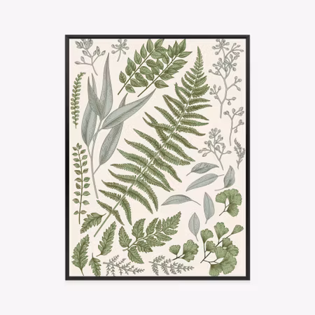 Poster med ram - Set of leaves on old paper
