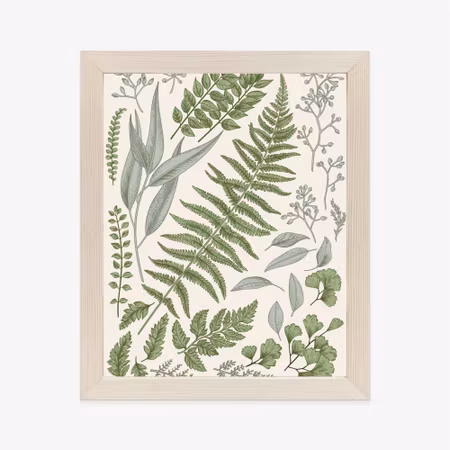 Poster med ram - Set of leaves on old paper