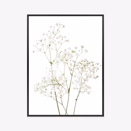 Poster med ram - Four branches with small white