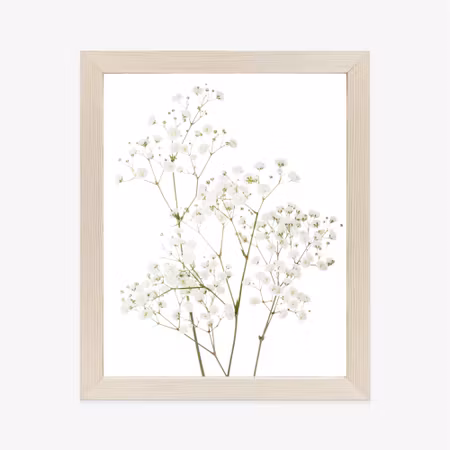 Poster med ram - Four branches with small white