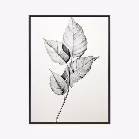 Poster med ram - Black and white leaves