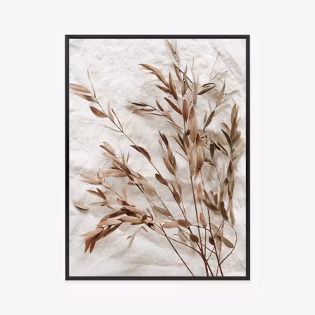 Poster med ram - Dry eucalyptus leaves