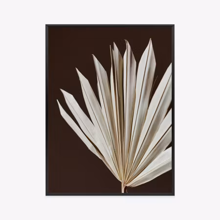 Poster med ram - Dry palm tree on a brown
