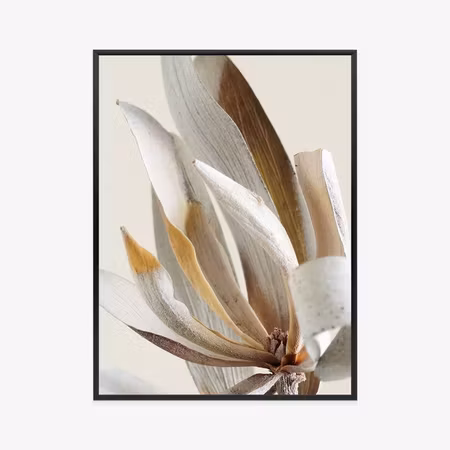 Poster med ram - Dry protea leaves