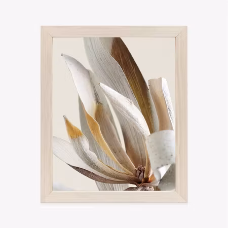Poster med ram - Dry protea leaves