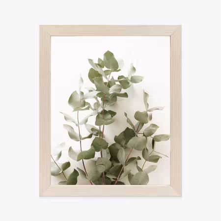 Poster med ram - Eucalyptus branch