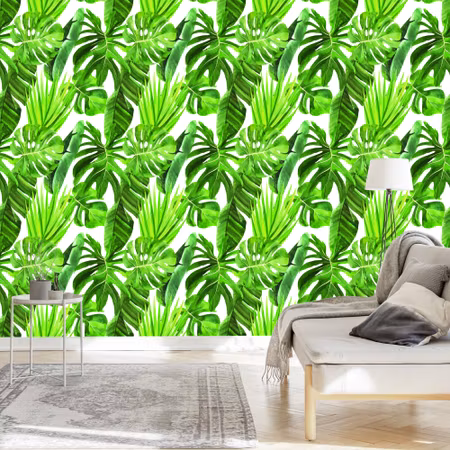 Tapet - Gröna Monstera Blad