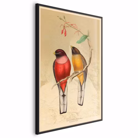 Poster med ram - Birds on a branch