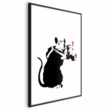 Poster med ram - Photographer rat