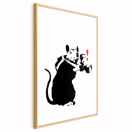 Poster med ram - Photographer rat