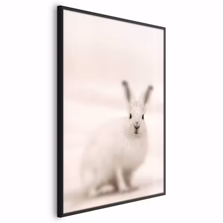 Poster med ram - Fearful look
