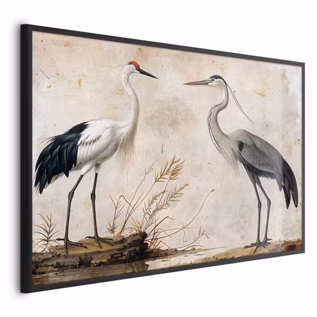 Poster med ram - Birds from an old engraving