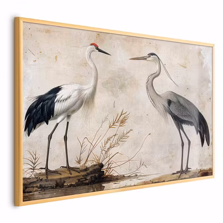 Poster med ram - Birds from an old engraving