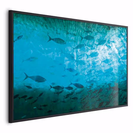 Poster med ram - Group of dark fish