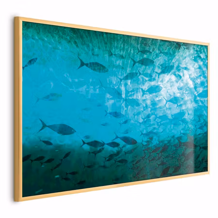 Poster med ram - Group of dark fish