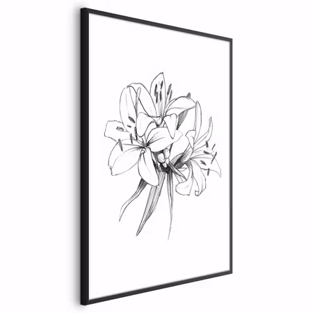 Poster med ram - Drawn flowers