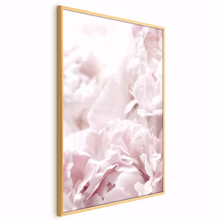 Poster med ram - Fluffy peonies