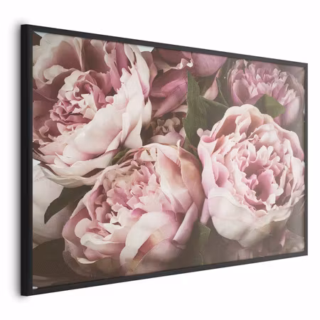 Poster med ram - Pink peonies
