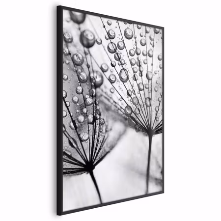 Poster med ram - Macro dew
