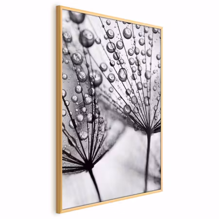 Poster med ram - Macro dew