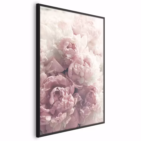 Poster med ram - Delicate peonies