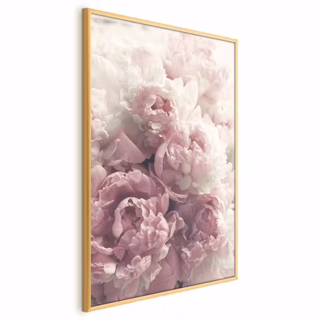 Poster med ram - Delicate peonies