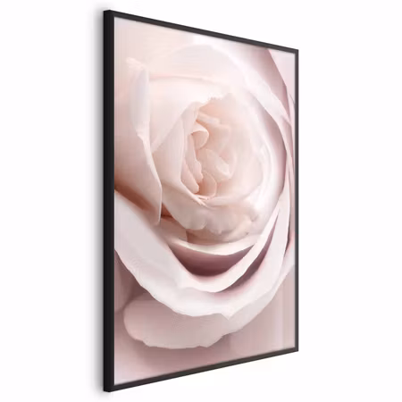 Poster med ram - Porcelain rose