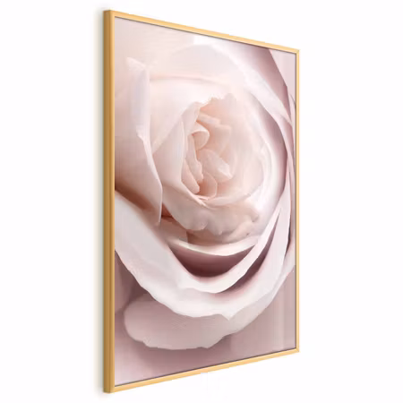 Poster med ram - Porcelain rose