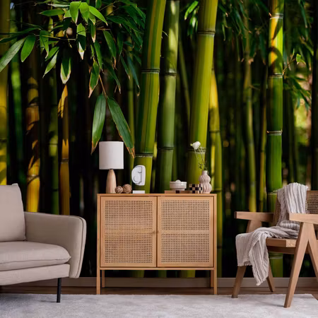 Fototapeter - Eucalyptus Alley Bamboo Grove in