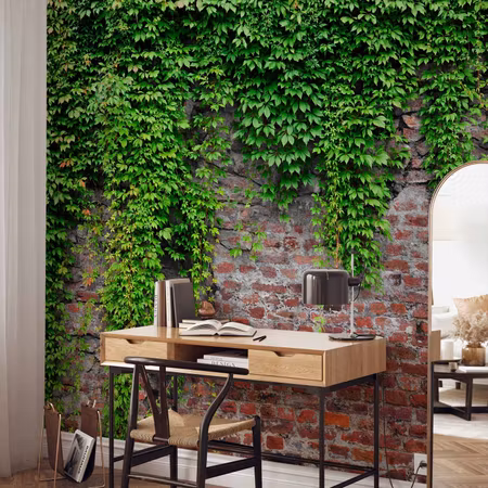 Fototapeter - Brick and Ivy