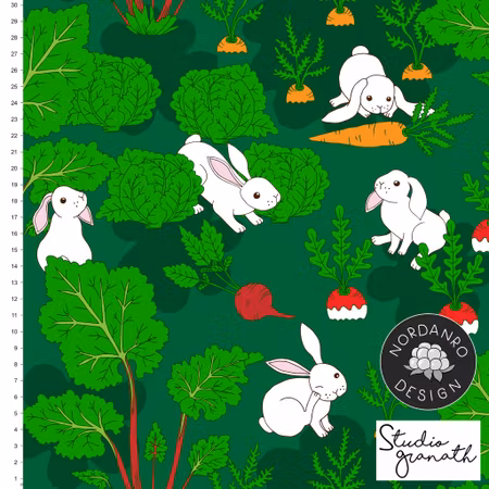 Bunny Garden Small Canvas