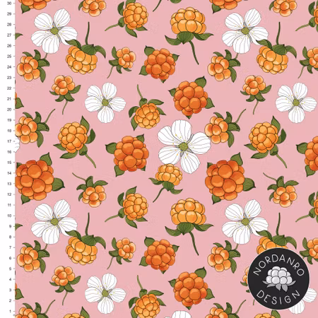 Cloudberry Pink Jersey