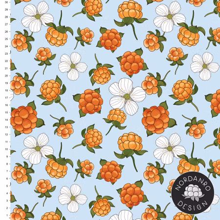 Cloudberry Sky Blue Jersey