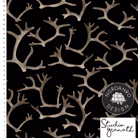Antler Black College