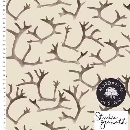 Antler Sand College