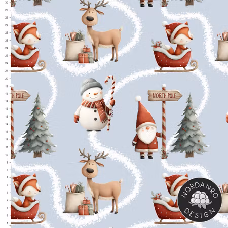 North Pole Jersey