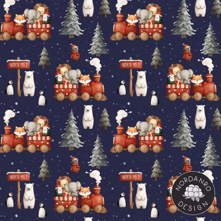 X-mas Train College
