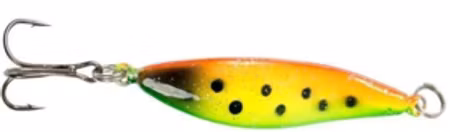 Nordingen 24gr firetiger