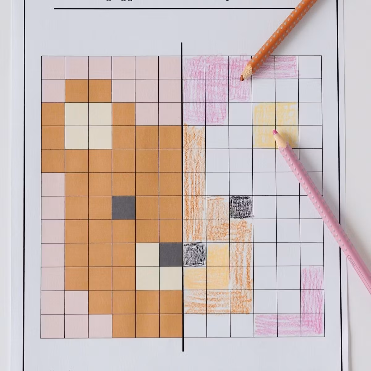 Symmetry - Colour the Pixels