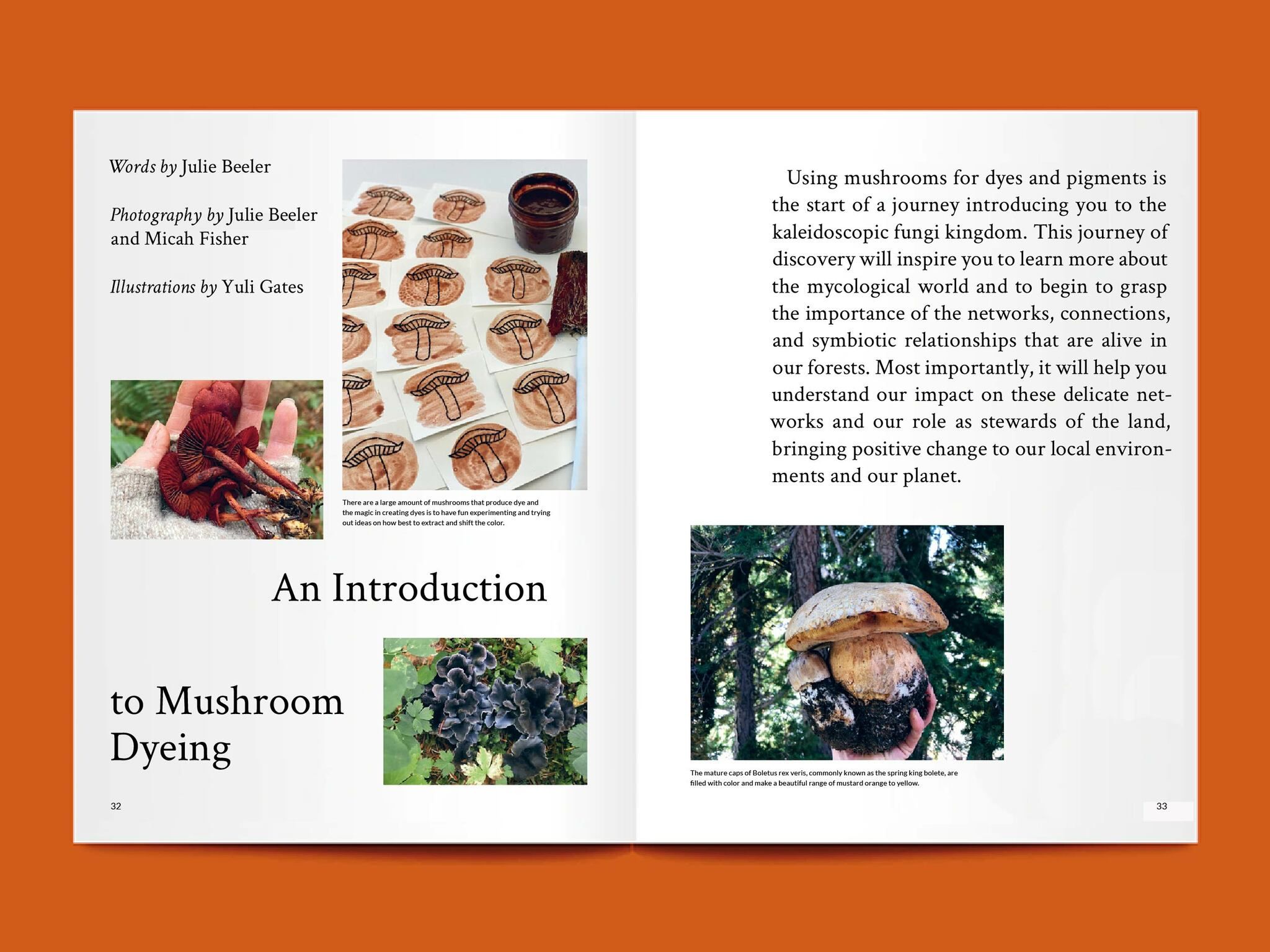 Tauko Magazine nr.4 - Fungi