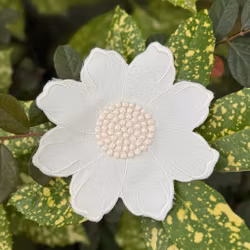 Blomapplikation vit 14cm