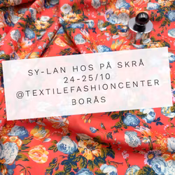 SY-LAN HOS PÅ SKRÅ 24-25/10