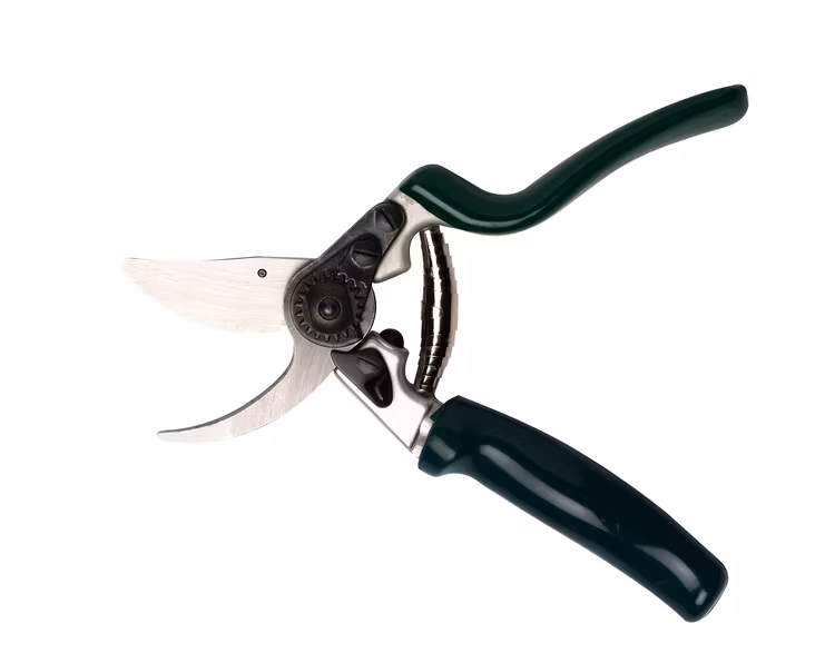 Sekatör Professional - rullhandtag 21 cm, Burgon & Ball
