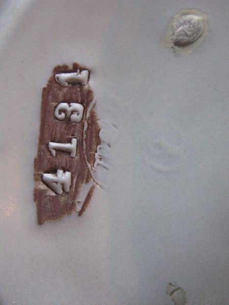 Fossil vase 4131