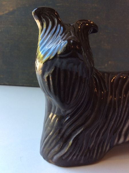 Skye terrier 5043H