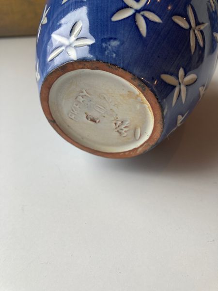 Star pitcher 102